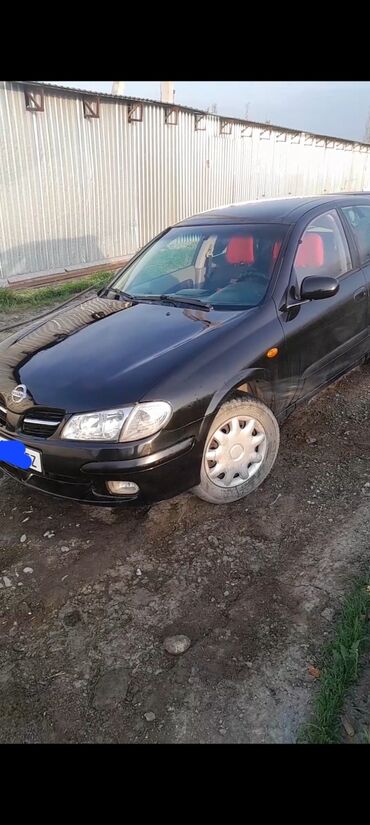 Nissan: Nissan Almera: 2001 г., 1.5 л, Механика, Бензин, Хэтчбэк