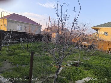 torpaq sahəsi: 1 sot, Maklerlər narahat etməsin, Bələdiyyə