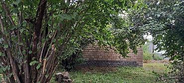Torpaq sahələrinin satışı: 5 sot, Tikinti, Mülkiyyətçi, Kupça (Çıxarış) — 4