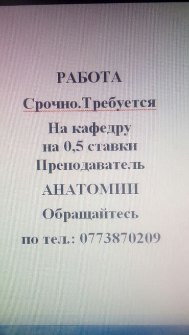 преподаватель вуза вакансии: Требуется Учитель - Биология, Без опыта