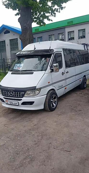 rex sprinter: Буссик Заказ Кыргызстану Казахстану. Бостери Чолпон Ата По Региону — 1