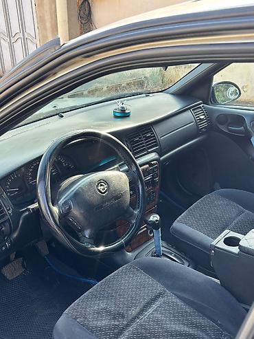 Opel: Opel Vectra: 2 l | 1996 il 368000 km Hetçbek — 2