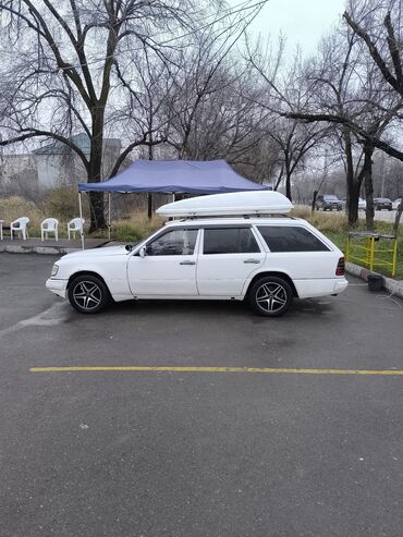 Mercedes-Benz: Mercedes-Benz W124: 1991 г., 2.5 л, Механика, Дизель, Универсал