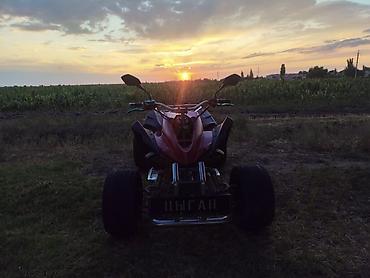 Квадроциклы: Квадроцикл Бензин, 250 куб. см, Взрослый at lalafo.kg — 8 Квадроциклы: Квадроцикл Бензин, 250 куб. см, Взрослый — 8