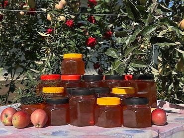 пасечник: 🍯 Натуральный горный мёд из Токтогула — с пасеки, без сиропа — 3