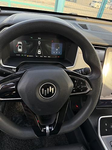 Roewe: Roewe : 2020 г., Автомат, Электромобиль, Кроссовер — 8