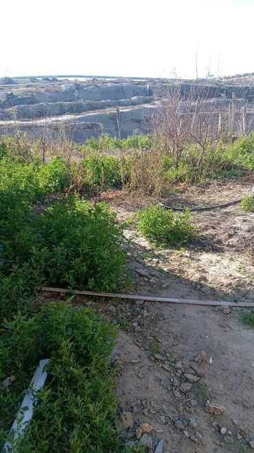 Həyət evləri və villaların satışı: Stansa sumqayıtda 3 sotda 3 otaq Sanıtar qovşaq heyetdedir kafeli — 9