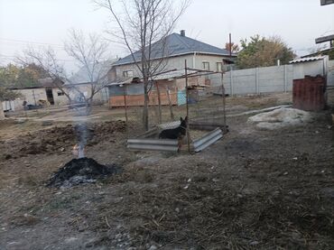 Продажа домов: Дом, 12 м², 4 комнаты, Собственник, Косметический ремонт at lalafo.kg — 4 Продажа домов: Дом, 12 м², 4 комнаты, Собственник, Косметический ремонт — 4