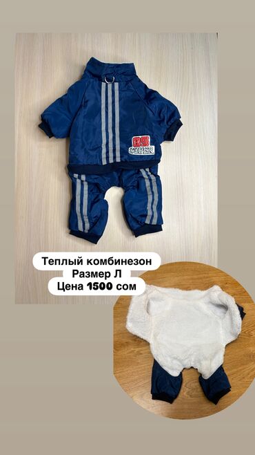 Зоотовары: Одежда для собак и кошек, большой выбор Все НОВОЕ РАЗМЕР И ЦЕНА — 22