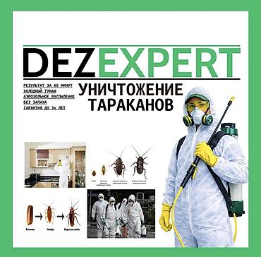 тайфун от тараканов: Дезинфекция, дезинсекция, | Тараканы, | Транспорт, Офисы, Квартиры — 1