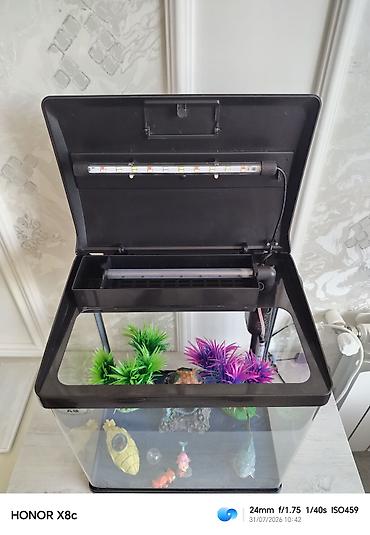 akvarium satilir: Tezedi zavod istehsalıdi bütün aksesuarlariyla birlikdə satilir — 5