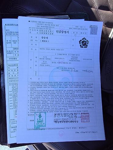 Kia: Kia : 2022 г., Механика, Газ — 15