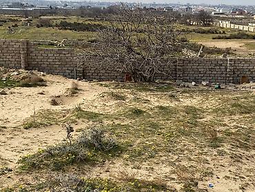 mehemmedi torpaq satilir: 10 sot, Tikinti, Mülkiyyətçi, Bələdiyyə — 2
