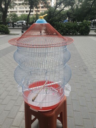 Qəfəslər: Təzə Qəfəslər 9azn boş qəfəslər Valnisti Tutuquşu Qəfəsi 9azn Amadin — 24