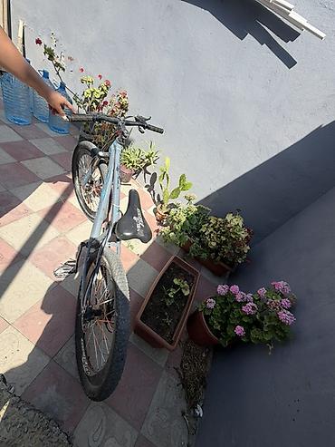 velesebetler: Velosiped – dağ/şəhər tərzi, 26" təkər ölçülü - Geniş profilli, dişli — 2