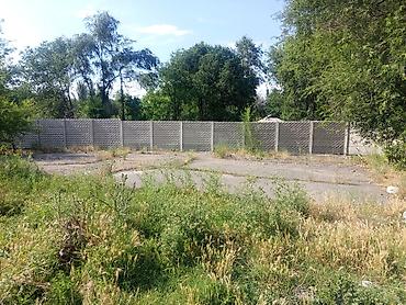 Кыймылсыз мүлк: Сдаю в аренду помещения, Жайылский район село Новониколаевка от — 6