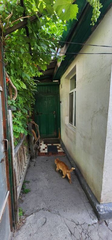 Продажа домов: Полдома, 54 м², 3 комнаты, Собственник, Старый ремонт — 7