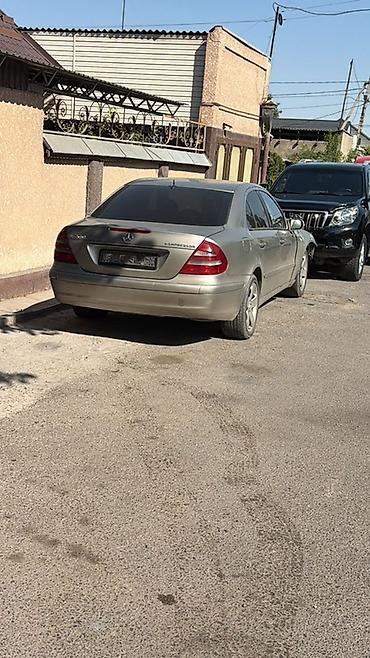 жабо w210: Mercedes-Benz E-Class: 2004 г., 1.8 л, Механика, Бензин, Седан — 5