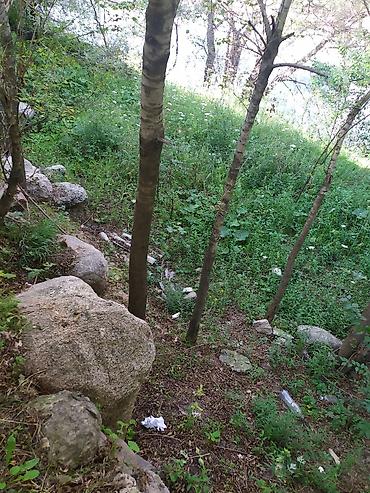 Продажа участков: 3 соток, Для строительства, Красная книга, Тех паспорт — 2