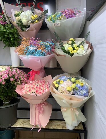 бизнес в бишкеке: Продаю готовый цветочный бизнес в центре города 65 кв. 24/7 доступ
