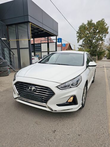 шины на сонату: Hyundai Sonata: 2019 г., 2 л, Автомат, Газ, Седан