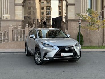 Lexus: Lexus NX: 2018 г., 2 л, Автомат, Бензин, Кроссовер — 1