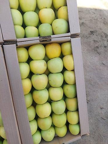 Эвакуаторы: Эвакуатор, Mercedes-Benz, 2001 г., Прямая — 7