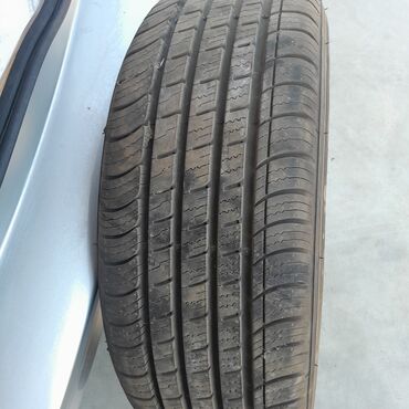 r16 opel: Yeni Şin 205 / 55 / R 16
