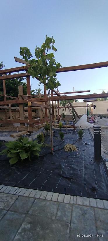 Дизайн, проектирование: Дизайн | Дома — 18