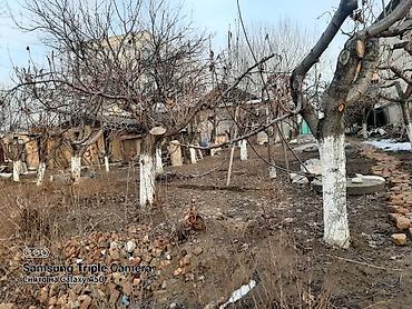 Продажа коттеджей и домов: Продается дом в элитном районе Оша! Участок 6 соток Дом 6 комнат — 7