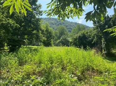 земельные участки семьям: Для строительства