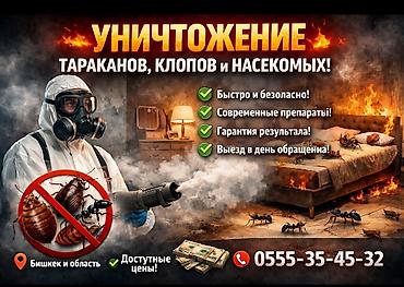 Кызматтар: Дезинфекциялоо, дезинсекциялоо, | Таракандар, | Батирлер — 1