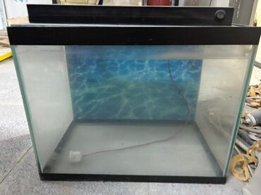 Akvariumlar: Dördbucaq akvarium, Boş, 40 l, Ödənişli çatdırılma