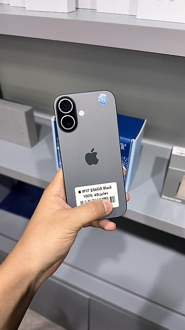 IPhone 17, Б/у, 256 ГБ, Черный, 100 % at lalafo.kg IPhone 17, Б/у, 256 ГБ, Черный, 100 %