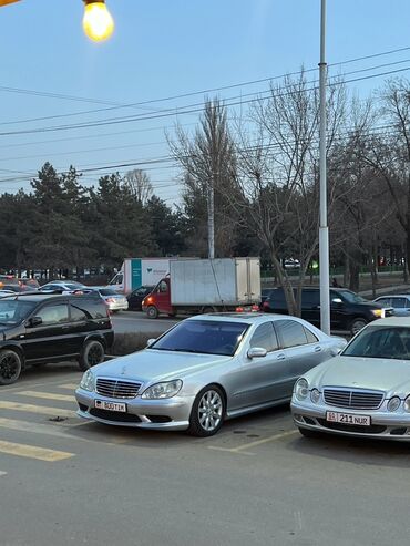 американская короткошёрстная кошка купить: Mercedes-Benz S-Class: 2001 г., 5.5 л, Автоматические, Бензин, Седан