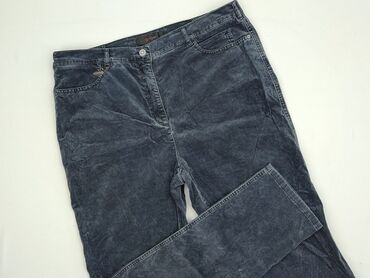 джинси h m: TONI, Spodnie materiałowe damskie, rozmiar 2XL