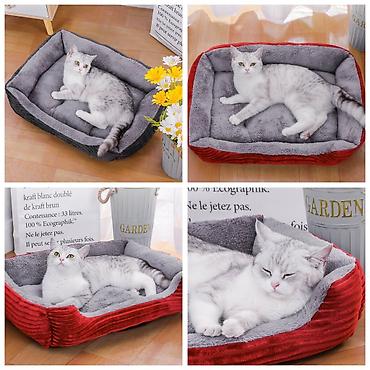 Зоотовары: Продаю игрушку/когтеточку/лежанку 3в1,с кошачей мятой,вашему котику — 13