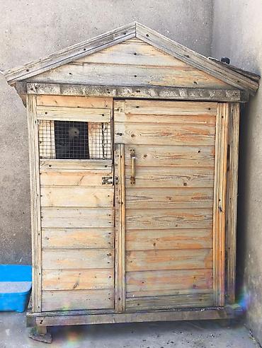 qus dami satilir: Taxta göyərçin yuvası/kümesi - Material: qalın taxta karkas, iç və — 3