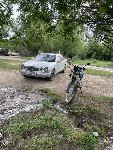 купить шампиньоны: Mercedes-Benz E-Class: 1997 г., 2.8 л, Автомат, Бензин, Седан