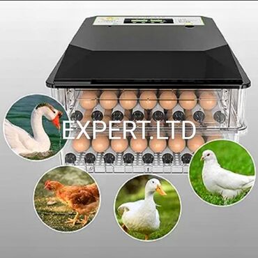 Инкубаторы: 100 яиц, Китай, Заводское производство, Полностью автоматическая, Для всех видов птиц