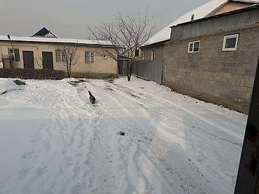 Долгосрочная аренда домов: 38 м², 2 комнаты, Утепленный, Бронированные двери, Евроремонт at lalafo.kg — 25 Долгосрочная аренда домов: 38 м², 2 комнаты, Утепленный, Бронированные двери, Евроремонт — 25