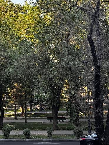 Продажа коттеджей и домов: Бишкек Продаётся 3-комнатная квартира. 📍 Район: пересечение ул at lalafo.kg — 13 Продажа коттеджей и домов: Бишкек Продаётся 3-комнатная квартира. 📍 Район: пересечение ул — 13