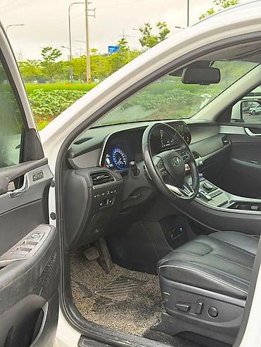 эйрбег: Hyundai Palisade: 2022 г., Автомат, Бензин, Кроссовер — 8