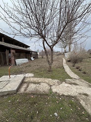 Продажа коттеджей и домов: ✨Продаётся дом в с. Сокулук✨ 🏡Характеристики: • Участок - 14 соток • — 3