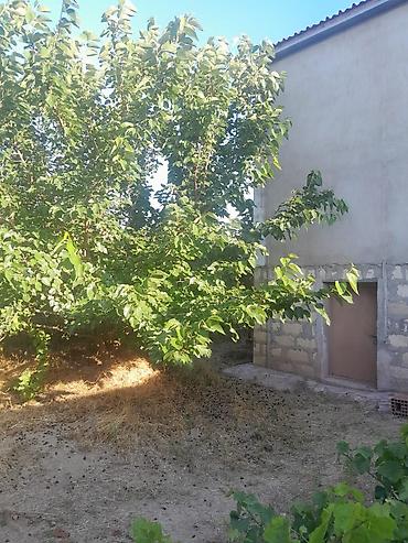 bine atciliq satilan evler: Bağ sahəsi və yarıtikili ev Qurd deresi 4-cu dayanacaq paket kupca — 2