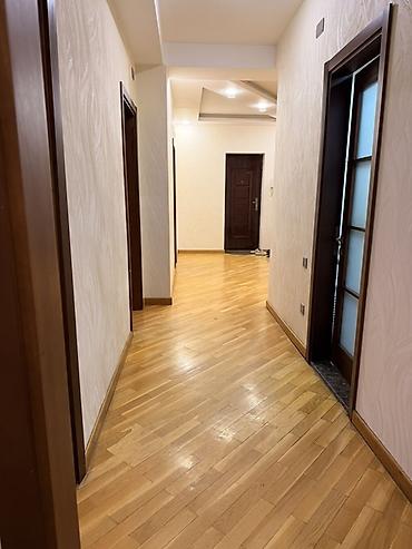 sdullar: Menzil elveriwdi yerde yerlewir Musabekov parkinin yaninda. Saki — 2