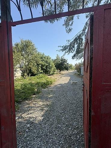 Torpaq sahələrinin satışı: 25 sot, Tikinti, Mülkiyyətçi, Kupça (Çıxarış) — 3