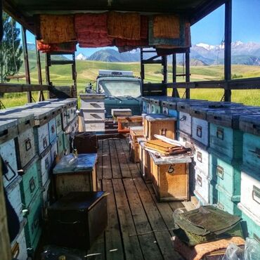 Товары и оборудование для с/х животных: Продается пчелоплатформа на 26 семей улей.

звоните на телефон