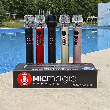 русская: Оригинальный караоке микрофон Micmagic L700 * *Мощность 20w — 9