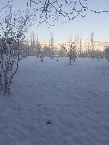 Landşaft işləri: Kupcalı 41 sot torpaq 20 sotda satilir — 12